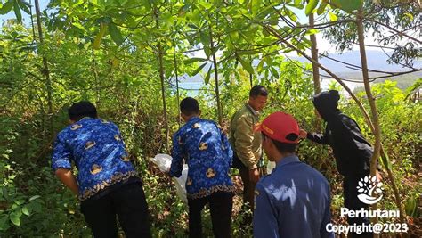 Perhutani Perhutani Bersama Cdk Dan Dinas Damkar Lepasliarkan Satwa Di