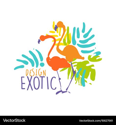 Exotic Logo Design With Flamingo Birds Colorful Vector Image