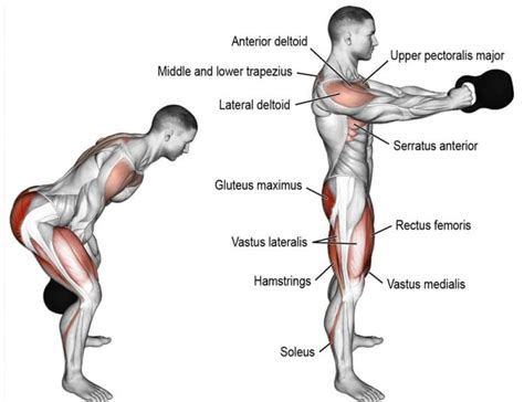 Kettlebell Swings Muscles Worked How To Benefits And Alternatives