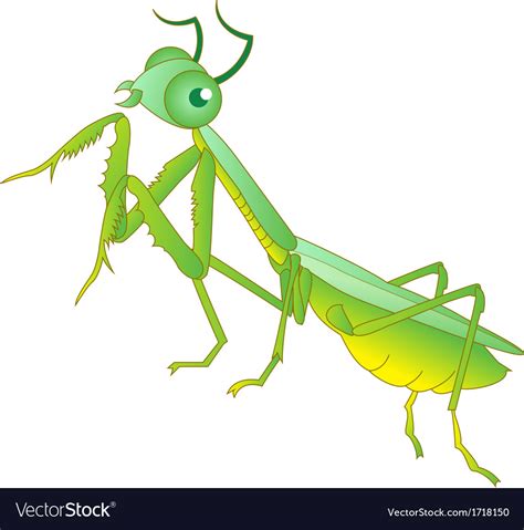 Praying mantis grasshopper cartoon Royalty Free Vector Image