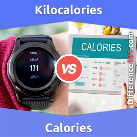 Kilocalories Vs Calories Key Differences Pros Cons Similarities