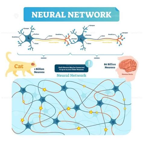 Neural network vector illustration - VectorMine