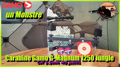 Cette carabine est un véritable Monstre Gamo G Magnum 1250 Jungle 5 5