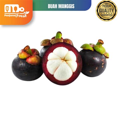 Jual Buah Manggis Gr Fresh Segar Shopee Indonesia