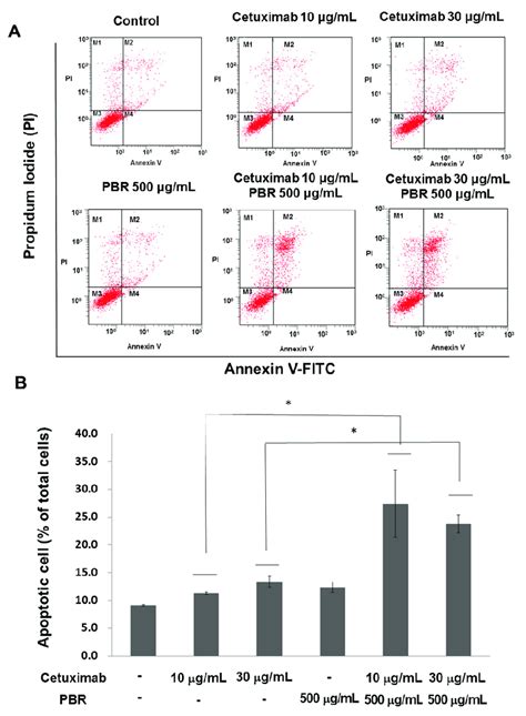 A Representative Flow Cytometry Plots Using Annexin V Fitcpi