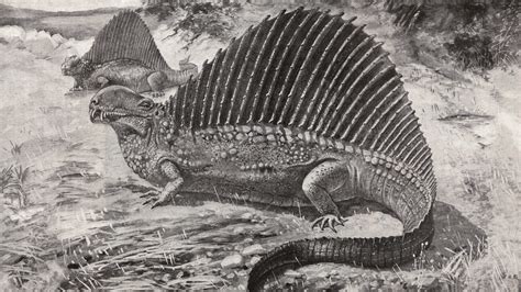 Newsela | The Permian extinction: When life nearly came to an end