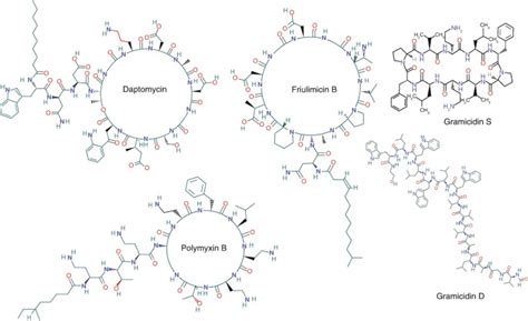 Characterization Of Antimicrobial And Host Defense Peptides Creative