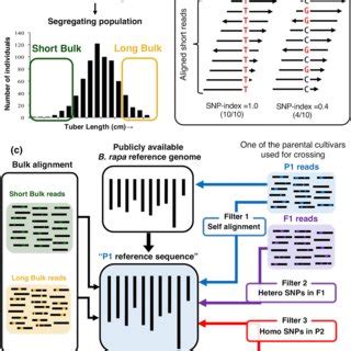 Next Generation Sequencing Based Bulked Segregant Analysis For QTL