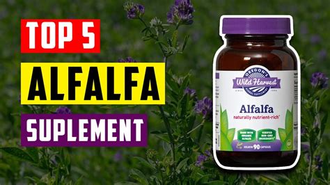 Best Alfalfa Supplement Top 5 Best Alfalfa Supplement For Skin Youtube