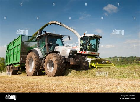 Claas Jaguar 850 Self Propelled Forager Chopping Grass And Loading