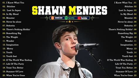 Shawn Mendes Top Greatest Hits Playlist Best Song Playlist