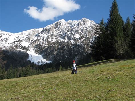 Via Alpina Slovenia Purple Trail Stage Tr I Stor I Hiking