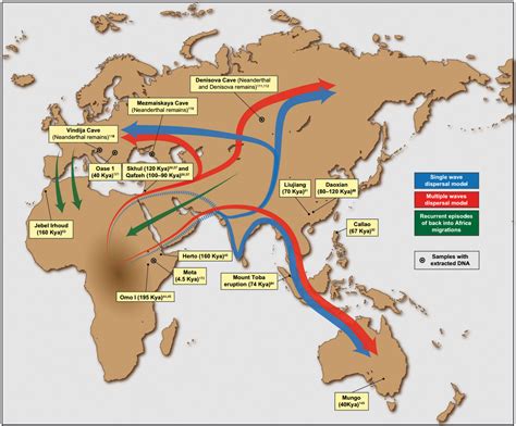 Early human migrations - Simple English Wikipedia, the free encyclopedia