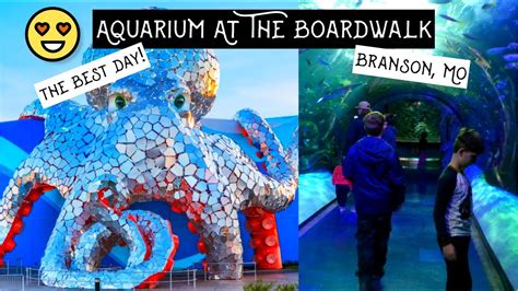 Everything You Need To Know About Aquarium At The Boardwalk Branson