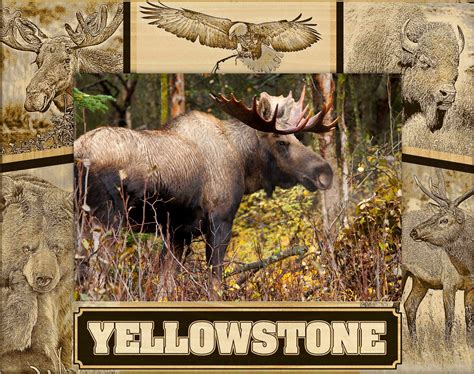 Yellowstone National Park Wildlife Collage Laser Engraved Wood Picture