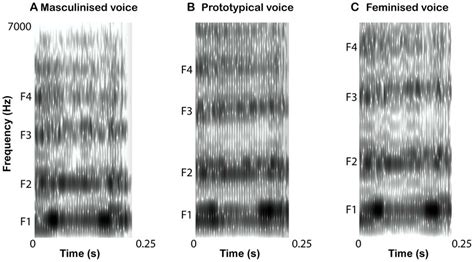 Spectrograms Of Vowel From Book Created From Girl Exemplar