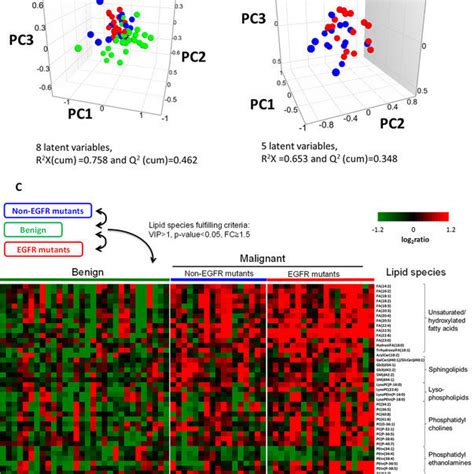 Principal Component Analysis Scores Plots For A Benign N 30 And