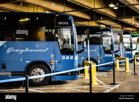 Greyhound Buses in Union Station Bus Terminal, Washington DC Stock Photo - Alamy