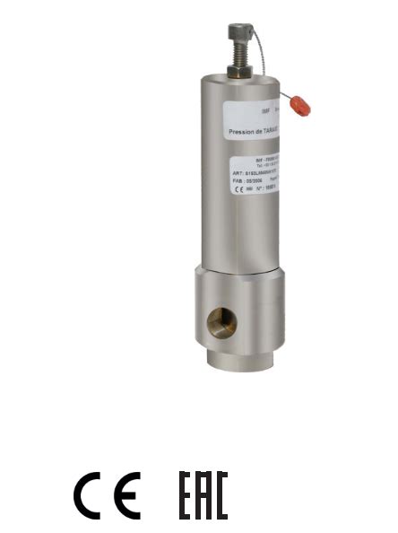 S153 Series High Pressure Safety Valve