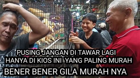 Update Harga Kenari Dan Perkutut Di Kios Bajang Pasar Burung Pramuka