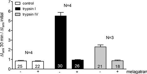 The Serine Protease Inhibitor Melagatran Prevents Trypsin Iv And