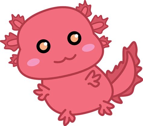 Plus De 30 Illustrations Gratuites De Axolotls Et De Animal Pixabay