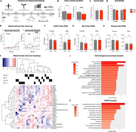 Oxytocin Induced Birth Causes Sex Specific Behavioral And Brain Connectivity Changes In