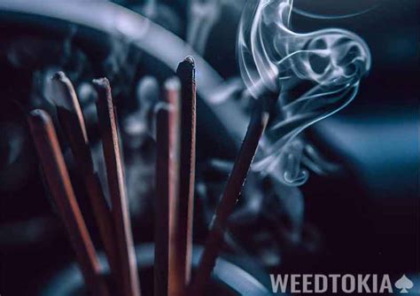 How To Get Weed Smell Out Of Cars Proven Ways In Weedtokia