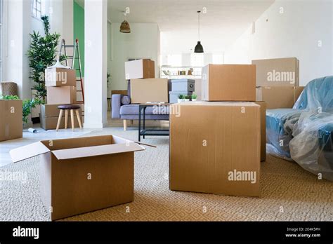 Sala de estar llena de cajas de cartón en el nuevo apartamento loft