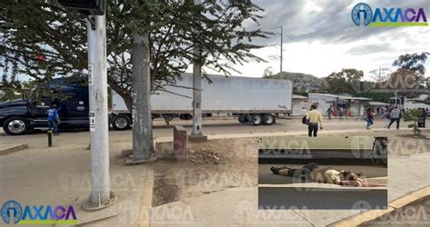 Video Un Hombre Pierde La Vida Al Arrojarse A Tráiler En El Parque Del