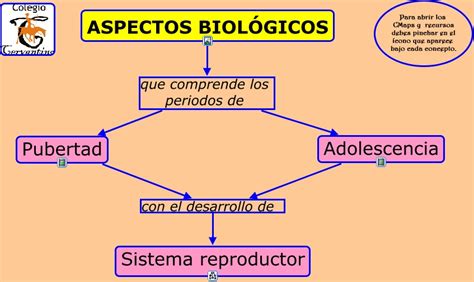 3 3 Aspectos Biológicos