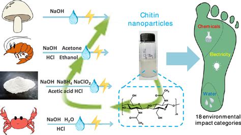 Environmental Impact Assessment Of Chitin Nanofibril And Nanocrystal