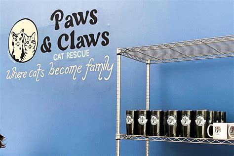 Paws And Claws Opens Cat Adoption Center