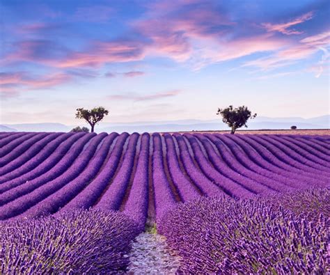 The 12 months of Provence - A Luxury Travel Blog