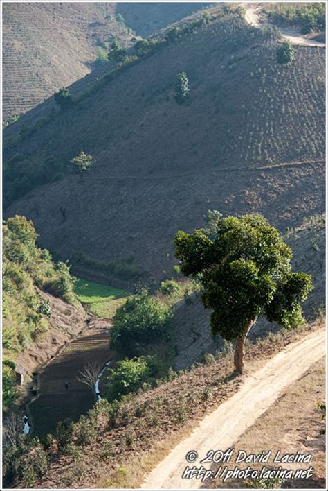 Travel Photo Gallery - Kalaw Trekking, Myanmar (Burma)