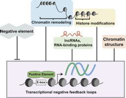 Journal Of Molecular Biology X Mol