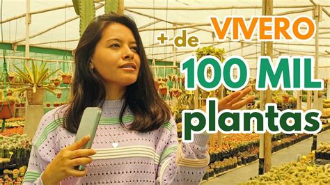 TOUR por un VIVERO con más de 100 MIL SUCULENTAS YouTube