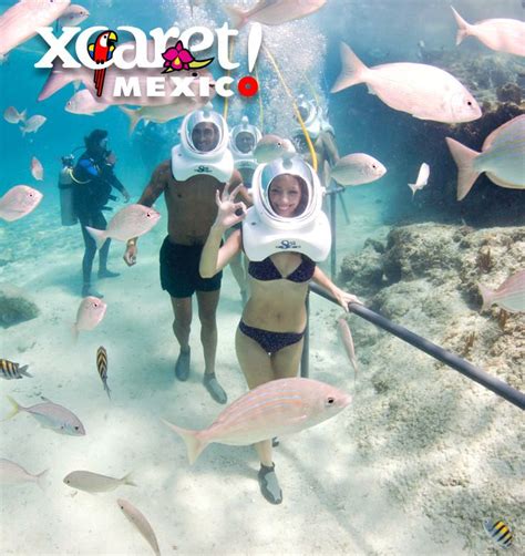 Sea Trek Underwater Walk Beneath The Mexican Caribbean At Xcaret