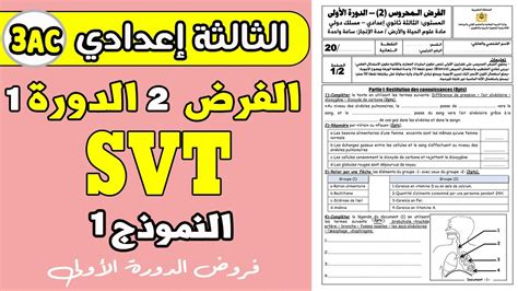 Devoir 2 Svt 3eme Année Collège Semestre 1 الفرض الثاني الدورة الأولى