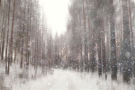 Waldschnee Verschwommener Hintergrund Winterlandschaft