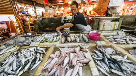 Panduan Mengenali Jenis Ikan Yang Biasa Dijumpai Di Pasar