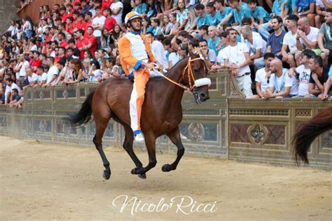 Palio Di Siena Del Agosto La Provaccia Al Leocorno