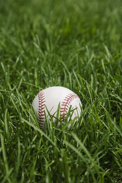 Baseball Laying On Grass Stockfreedom Premium Stock Photography