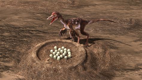 Dinosaur species laid eggs like reptiles: Study | CTV News