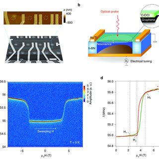 Monolithically Sculpted Vdw Heterostructure Noems A D Art View Of The