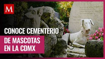 Cementerio para mascotas conoce su ubicación en la CdMx Grupo Milenio