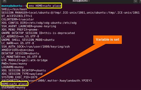 The Env Command In Linux Practical Examples