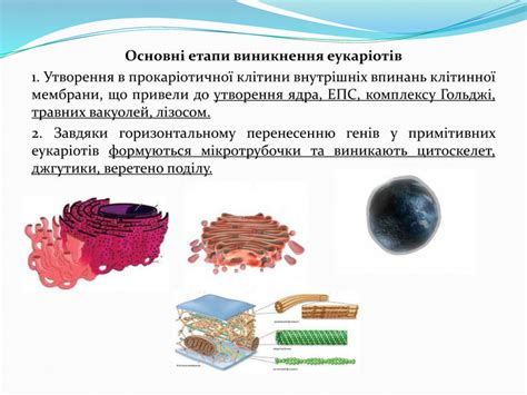 Презентація "Особливості еукаріот та їхня різноманітність"