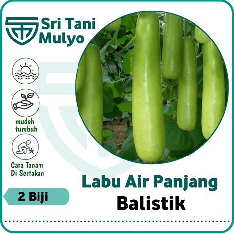 Jual Biji Benih Labu Siam Balistik Labu Air Labu Panjang Labu