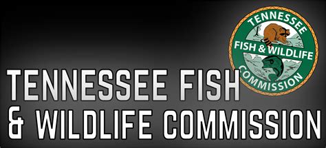 Fish And Wildlife Service Logo Png